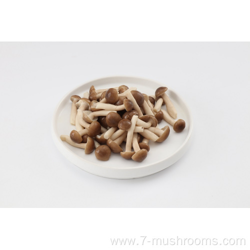 Frozen Fresh Cut Beech Mushroom-150G